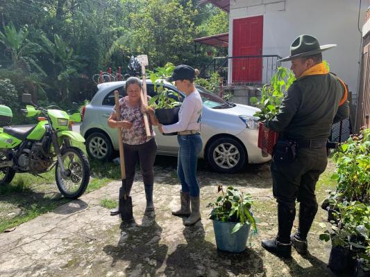 400 árboles sembrados para fortalecer la seguridad rural y la conservación ambiental