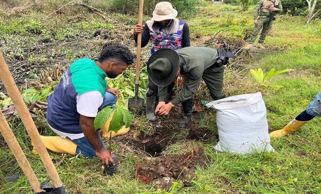 Jornada de siembra se llevo a cabo en Tumaco