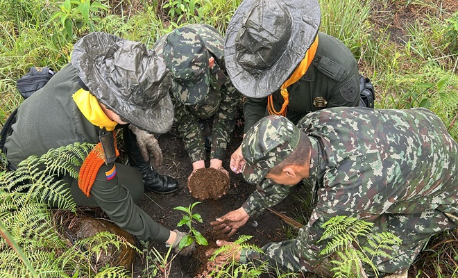 Sembratón en coordinación con el ejercito