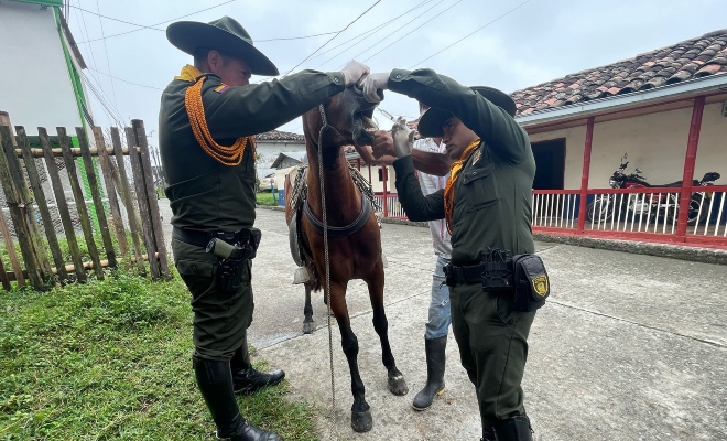campaña en defensa y protección del bienestar animal 