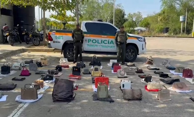 En Córdoba, son incautados 71 bolsos elaborados con pieles de animales silvestres