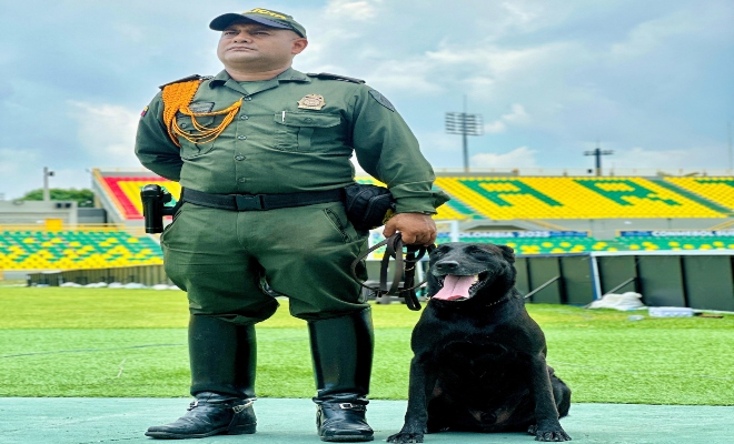 Un amplio dispositivo y herramientas tecnológicas fortalecerán la vigilancia dentro y fuera del estadio.