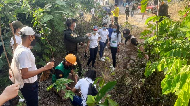 acciones-de-proteccion-ambiental
