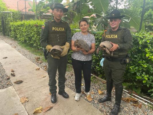 Acciones para conservar la fauna silvestre