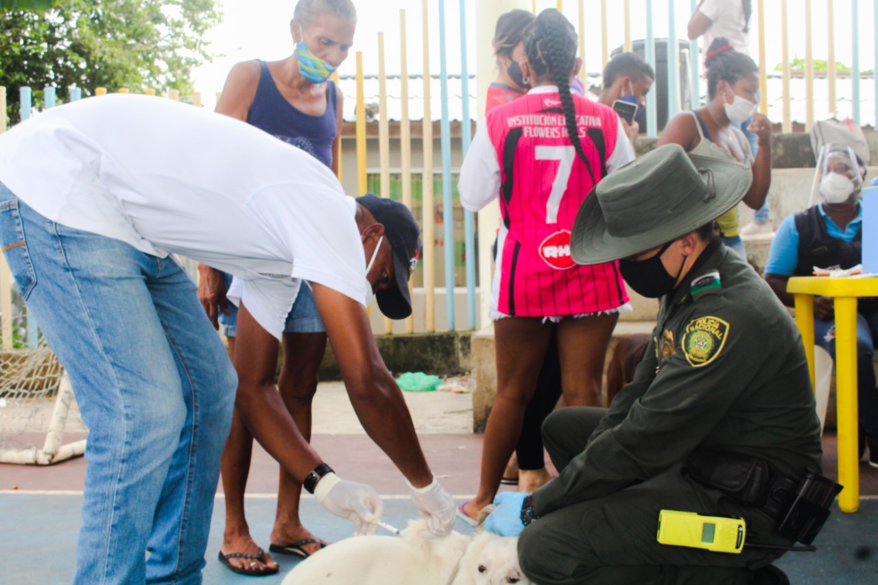 En conmemoración al Día Mundial Contra la Rabia, llevamos a cabo jornada de vacunación canina en el sector del ‘Barack’.