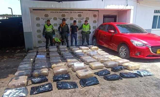 Gracias al apoyo del canino ‘Lany’ con su guía y personal de la seccional de tránsito y transporte, incautaron estupefasientes 