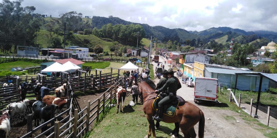 Trabajamos por la seguridad y convivencia ciudadana en esta región del país. 