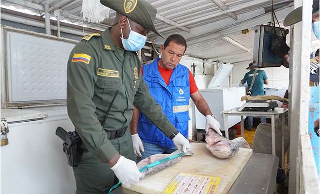 Actividades de control en las pescaderías