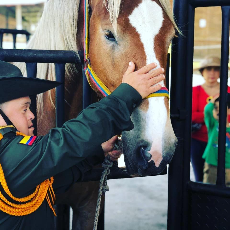 niño acariciando un caballo 