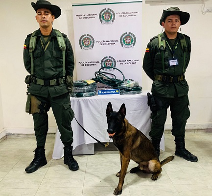 Incautadas "coca" y el "bazuco"