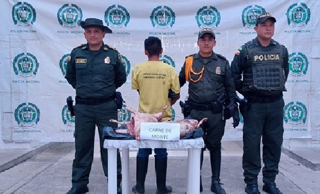 Se captura un sujeto por el delito ilícito aprovechamiento de recursos naturales renovables