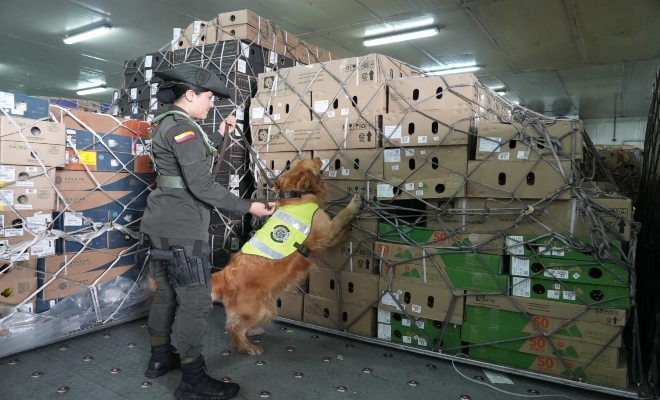 Evitar la contaminación de droga por parte de organizaciones narcotraficantes