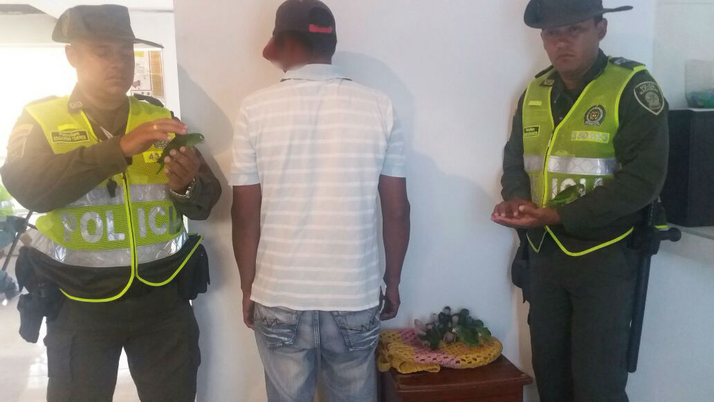 Aves-rescatadas-y-persona-capturada