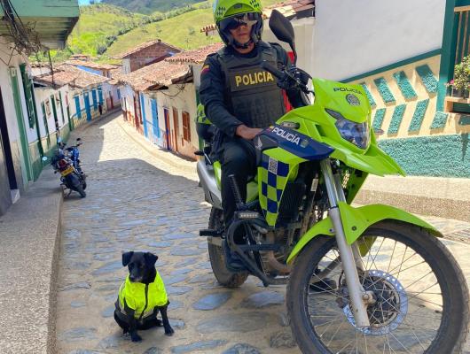 ha conquistado el afecto no solo de los lugareños sino también de los visitantes 