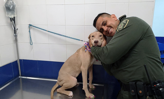 En-el-Meta-rescatamos-una-cachorra-de-la-calle-y-le-conseguimos-nuevo-hogar