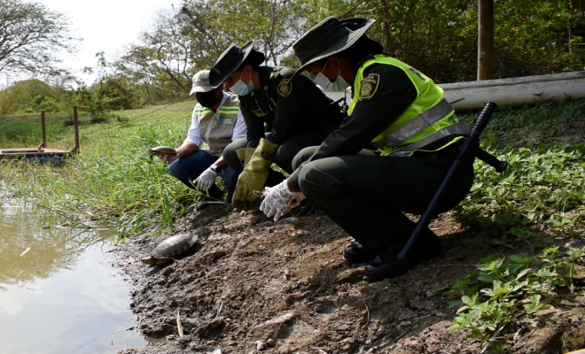 Liberación-de-42-especies-silvestres-en-refugio-ambiental