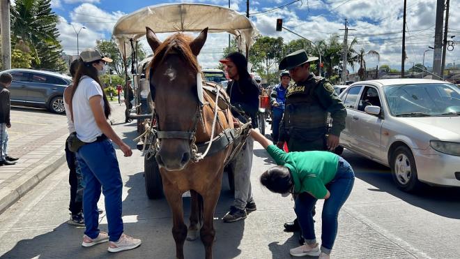 Prevención Ciudadana