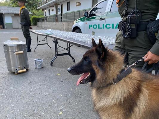 Canino Thor identificó más de 2.400 gramos de clorhidrato de cocaína 