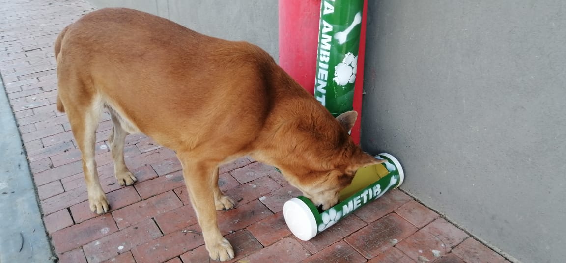 Instalamos dispensadores de comida e hidratación en la ciudad #EllosNoEstanSolos