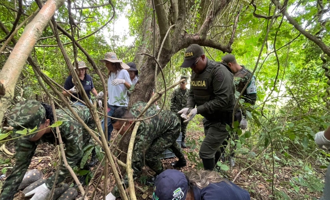 Liberacion de especies silvestres en zona rural del departamento de Cordoba 