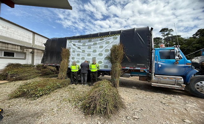 Policía Nacional incauta más de tres toneladas de tallos de coca en Putumayo