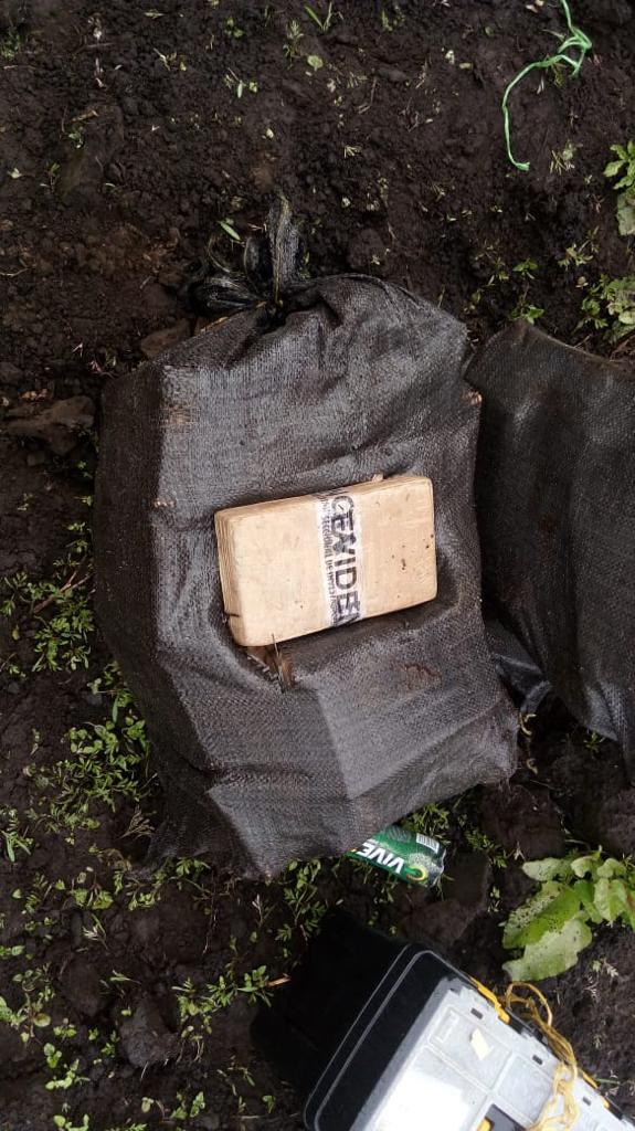 Desarticulada-red-que-enviaba-heroína-desde-la-frontera-con-Ecuador