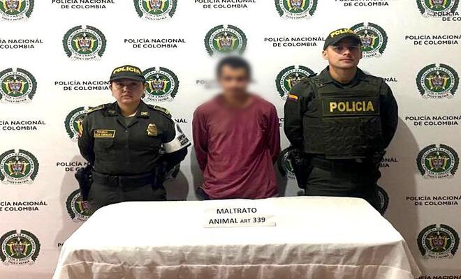 capturado por maltrato animal en urrao