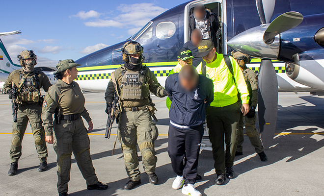 Enviaban al exterior más de 300 kilos de marihuana a la semana
