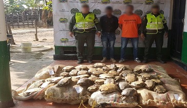 El procedimiento policial se efectuó en la vía Sincelejo – Montería