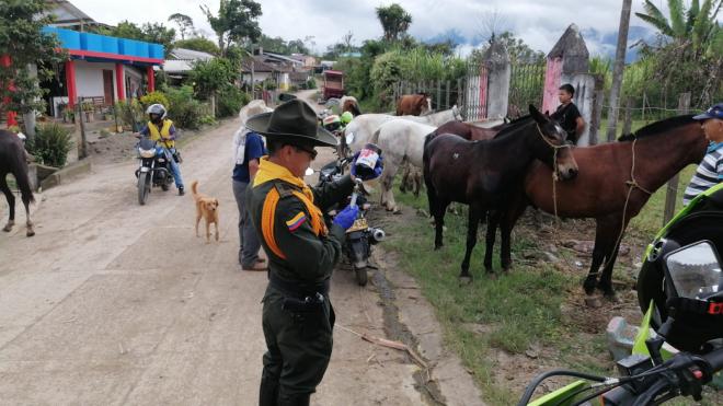 Jornadas de verificación 