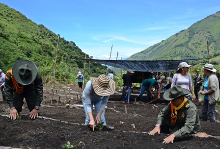 Se-han-vinculado-mas-de-500-familias-al-programa