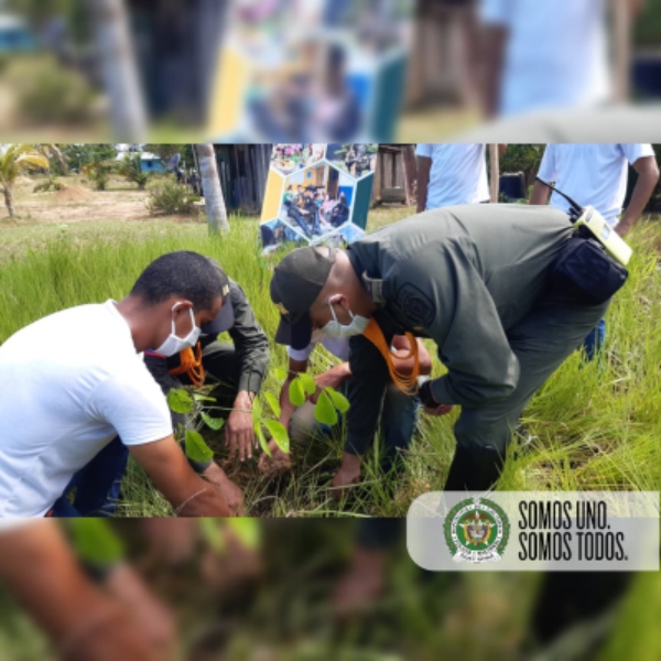 Celebramos_el_día_mundial_del_árbol 