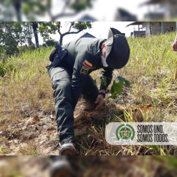 Celebramos_el_día_mundial_del_árbol 