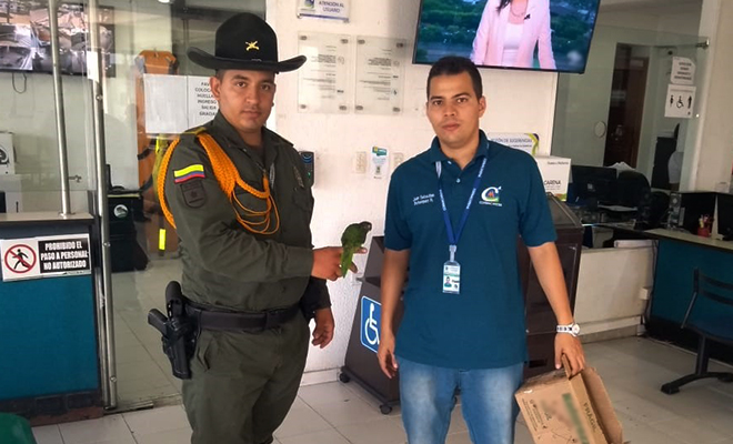 Con-el-Plan-de-Choque-mi-compromiso natural-es-dejarlos-en-libertad