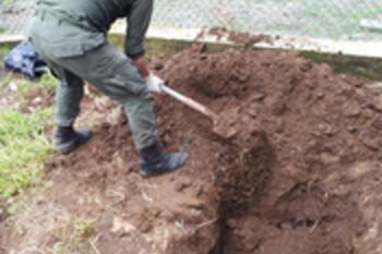 Conmovedora-despedida-a-nuestro-canino-“Killer” 