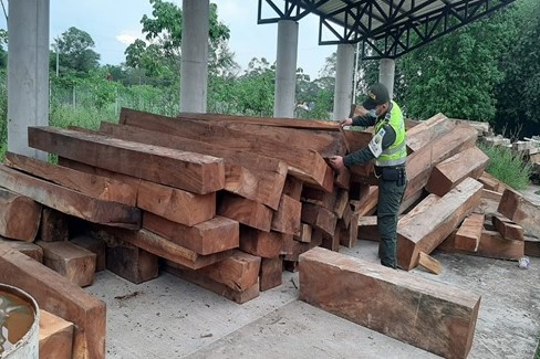 Continúan-los-fuertes-controles-al-transporte-de-madera-ilegal-en-el-Cesar