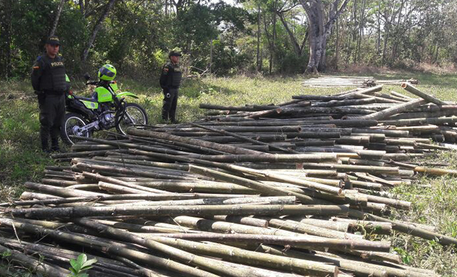 En-el-Meta-todos-contra-los-crímenes-al-ambiente