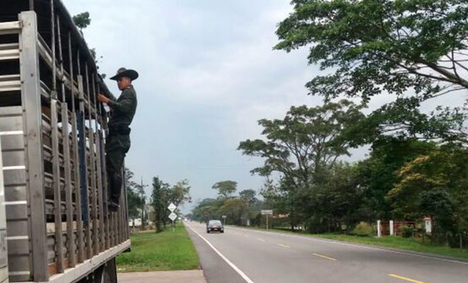 En-el-Meta-Ofensiva Nacional-contra-el-Delito-deja-efectivos resultados-contra-el-hurto-de-ganado