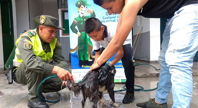 La Policía Nacional-lideró jornada-contra el maltrato animal