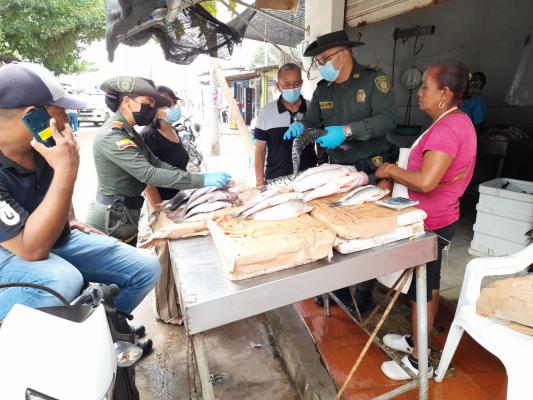 Controles venta de pescado en Magangué