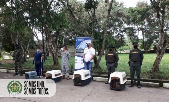 Cooperación interinstitucional para la protección del medio ambiente1