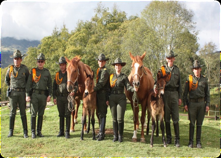 Criadero Mular Santa Rosa