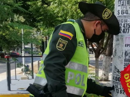 Alerta caracol africano