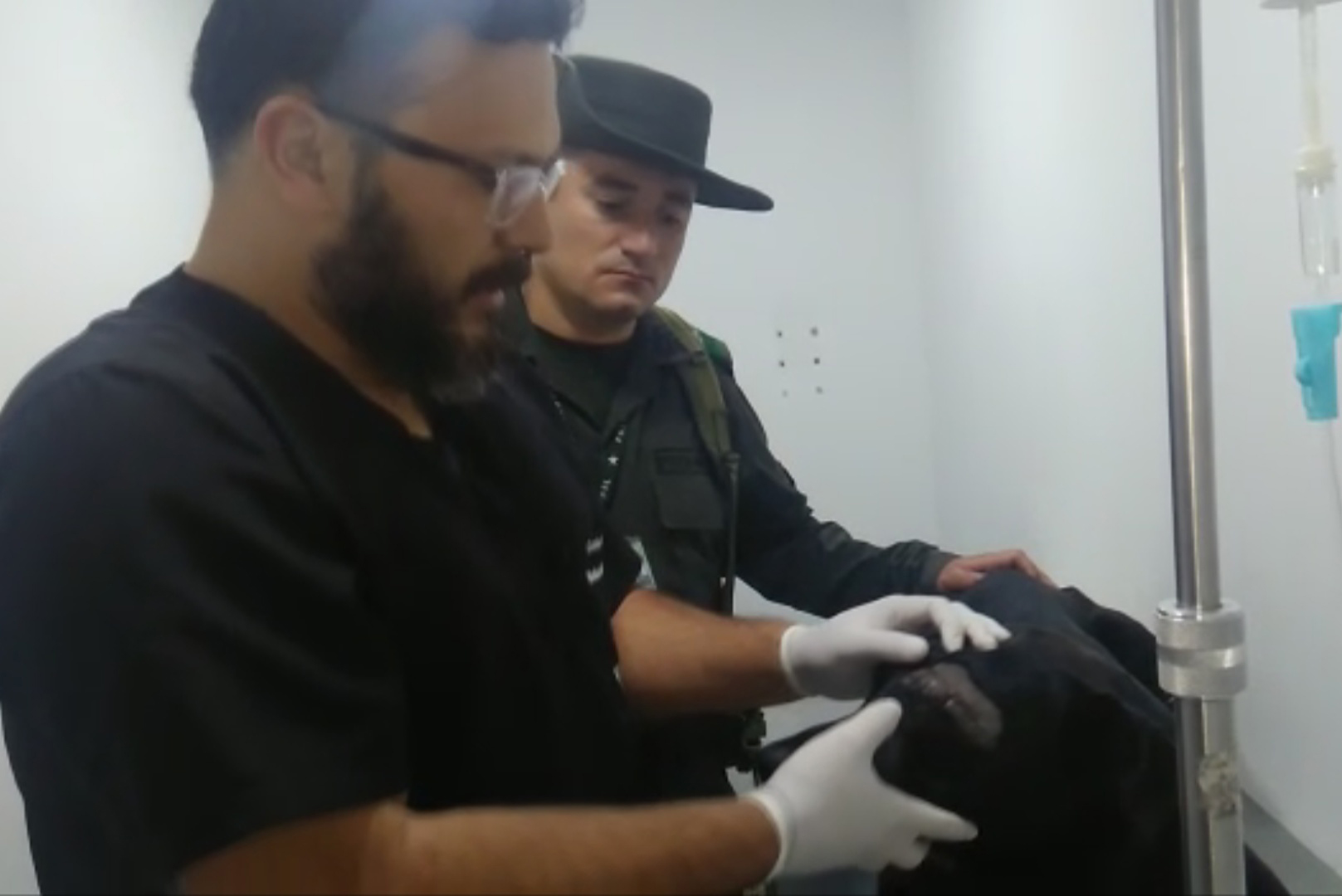 Policía-captura-hombre-por-atacar-un-perro-con-arma-blanca-2