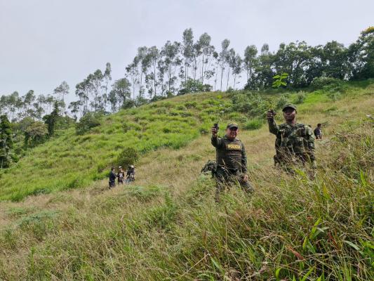 Cuidan el medio ambiente