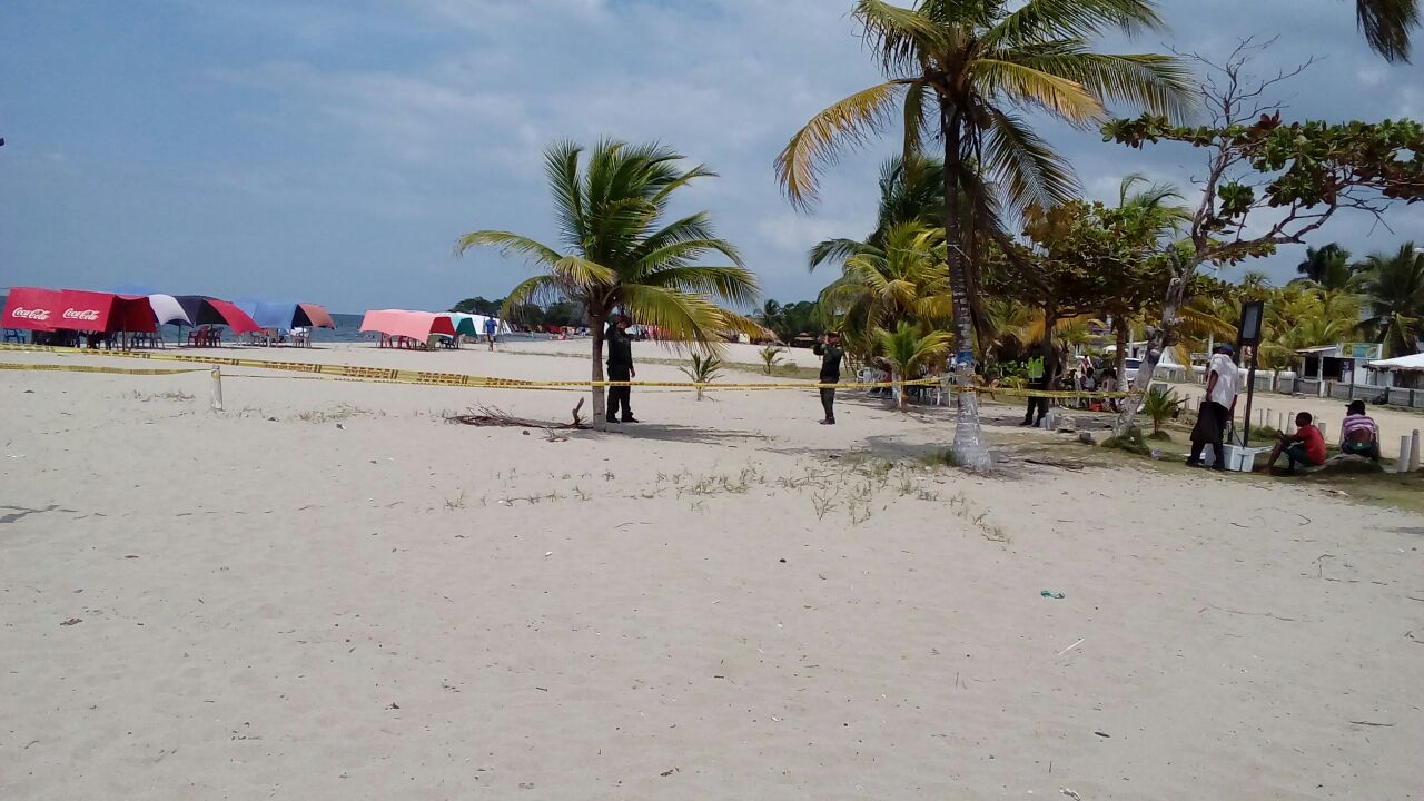Cuidamos y protegemos el Medio ambiente 