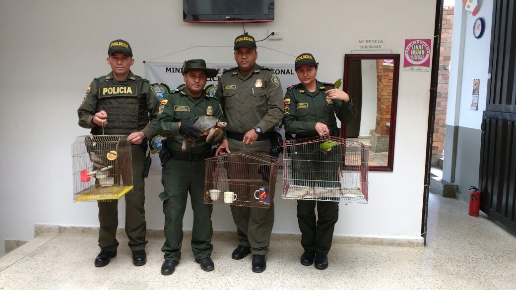 En-control-a-la-fauna-silvestre-la-Policía-Nacional-rescata-54-especies-que-iban-a-ser-comercializadas-en-Antioquia-1