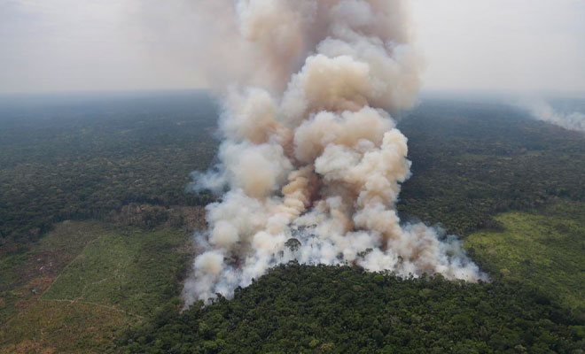 deforestacion amazonia colombiana