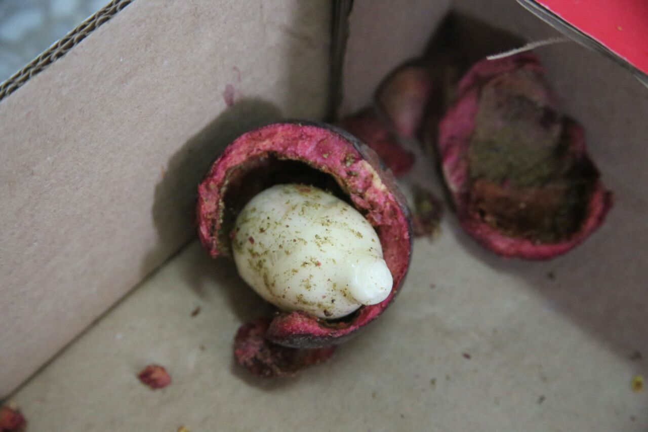 Dentro-de-frutas-exóticas-enviaban-cocaína-diluida-a-Hong-Kong