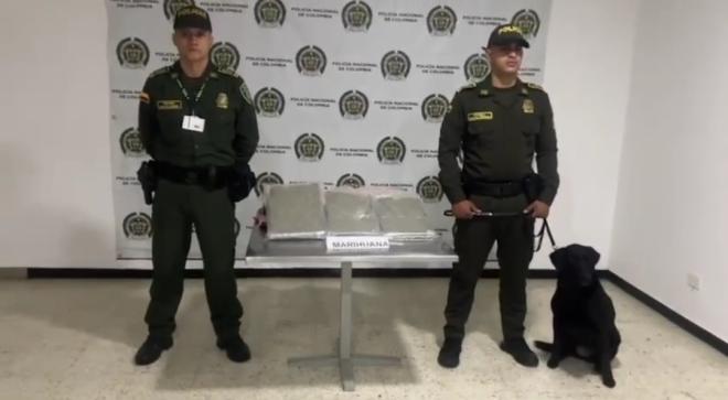 Con la ayuda del biosensor canino, la Policía Nacional descubre varios gramos de estupefacientes en el corregimiento La Dolores del municipio de Palmira